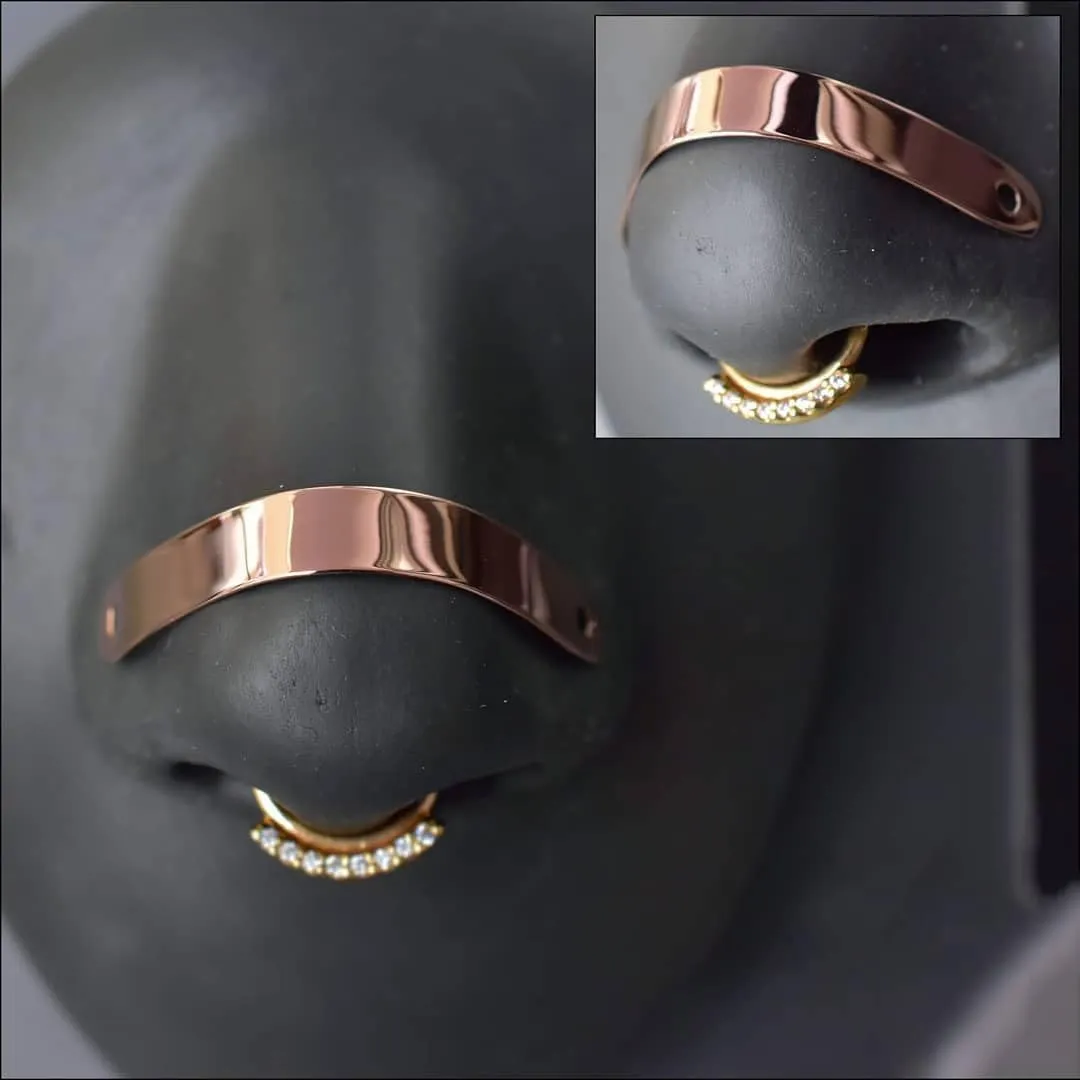 16G/18G Surgical Steel Across Top Nose Rings Chain for Women Cubic Zirconia Nose Studs Nostril Chain for Women Men Chain Nose Piercing Jewelry Eyebrow Piercing Jewelry Silver