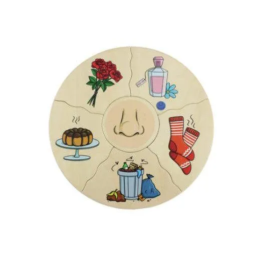 Beleduc Humanico Puzzle - 5 Senses