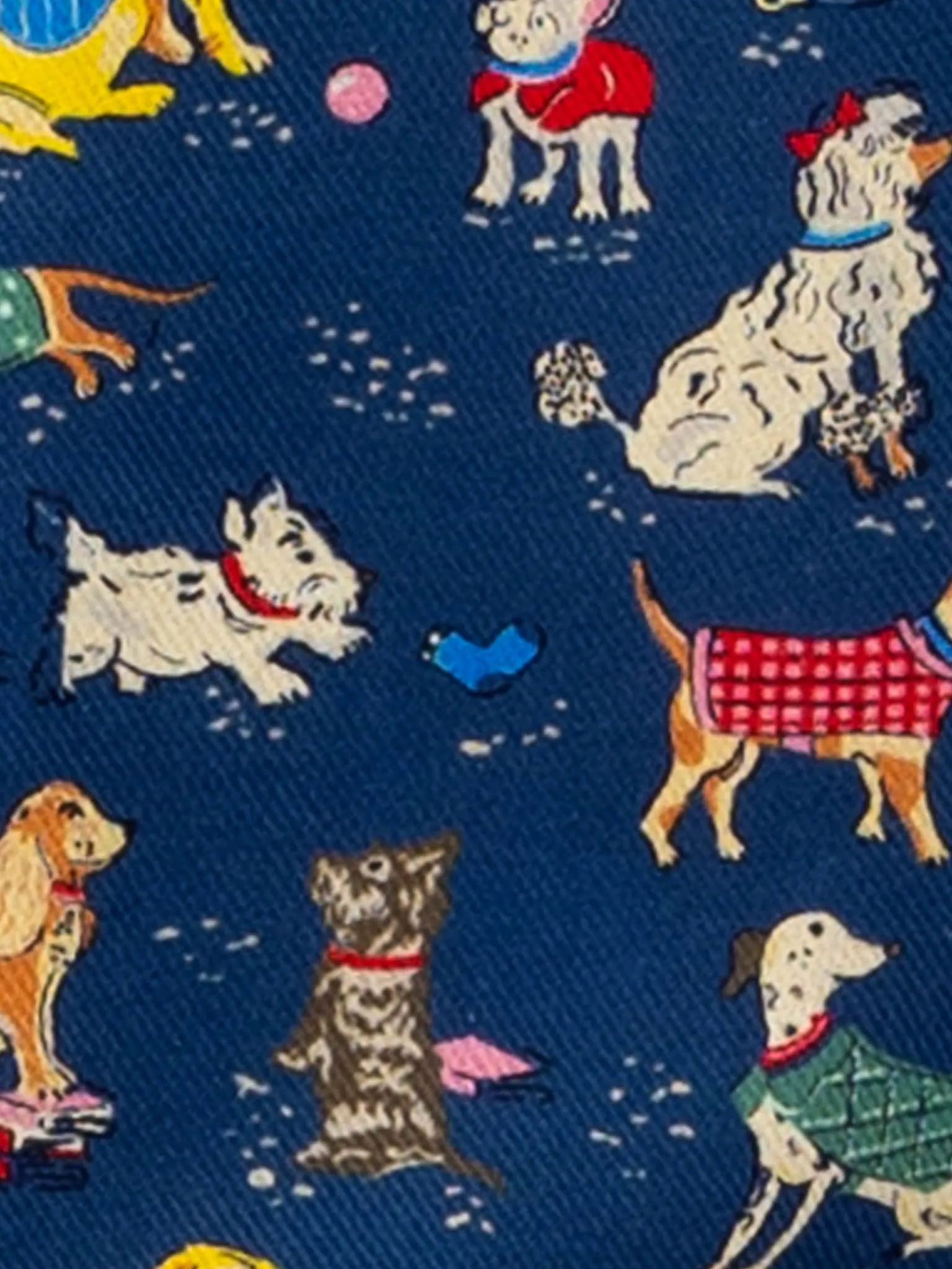 Bow Wow Wow Peter Pan Dress