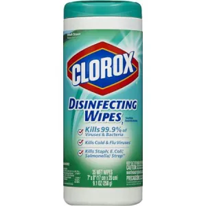 Clorox Commercial Solutions Disinfecting Wipes(75 ct)