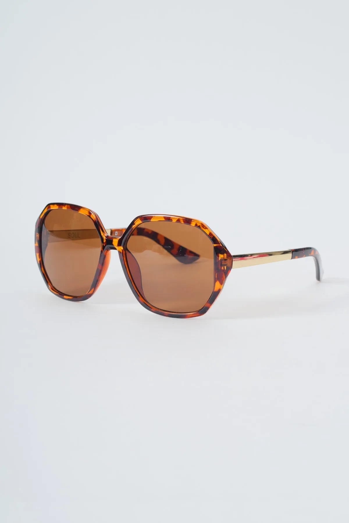 Tortoise Shell Round Frame Sunglasses